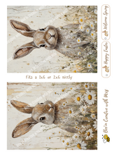Load image into Gallery viewer, Vinatage Bunny with daisies Canvas Project 1x6