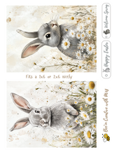 Load image into Gallery viewer, Grey Bunny with daisies Canvas Project 1x6