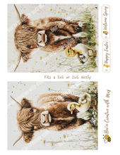 Load image into Gallery viewer, Highland Cows with baby duckling and wildflowers Canvas Project 1x6