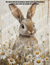 Load image into Gallery viewer, Vinatage Bunny with daisies Canvas Project 1x6