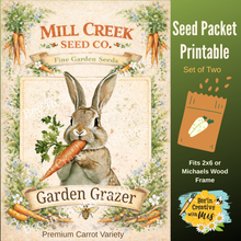 Load image into Gallery viewer, Carrot Seed Packets Canvas Printable SET OF TWO 2x6 SIZE
