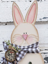Load image into Gallery viewer, K294 Farm Fresh Carrots Spring Bunny Craft Pattern Digital Download