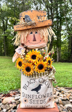 Load image into Gallery viewer, K312 Sunflower Seed Scarecrow Pattern
