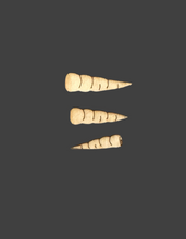 Load image into Gallery viewer, New Assorted Carrot Noses for Snowmen  Unfinished wood Set of 3 SMALL SIZE
