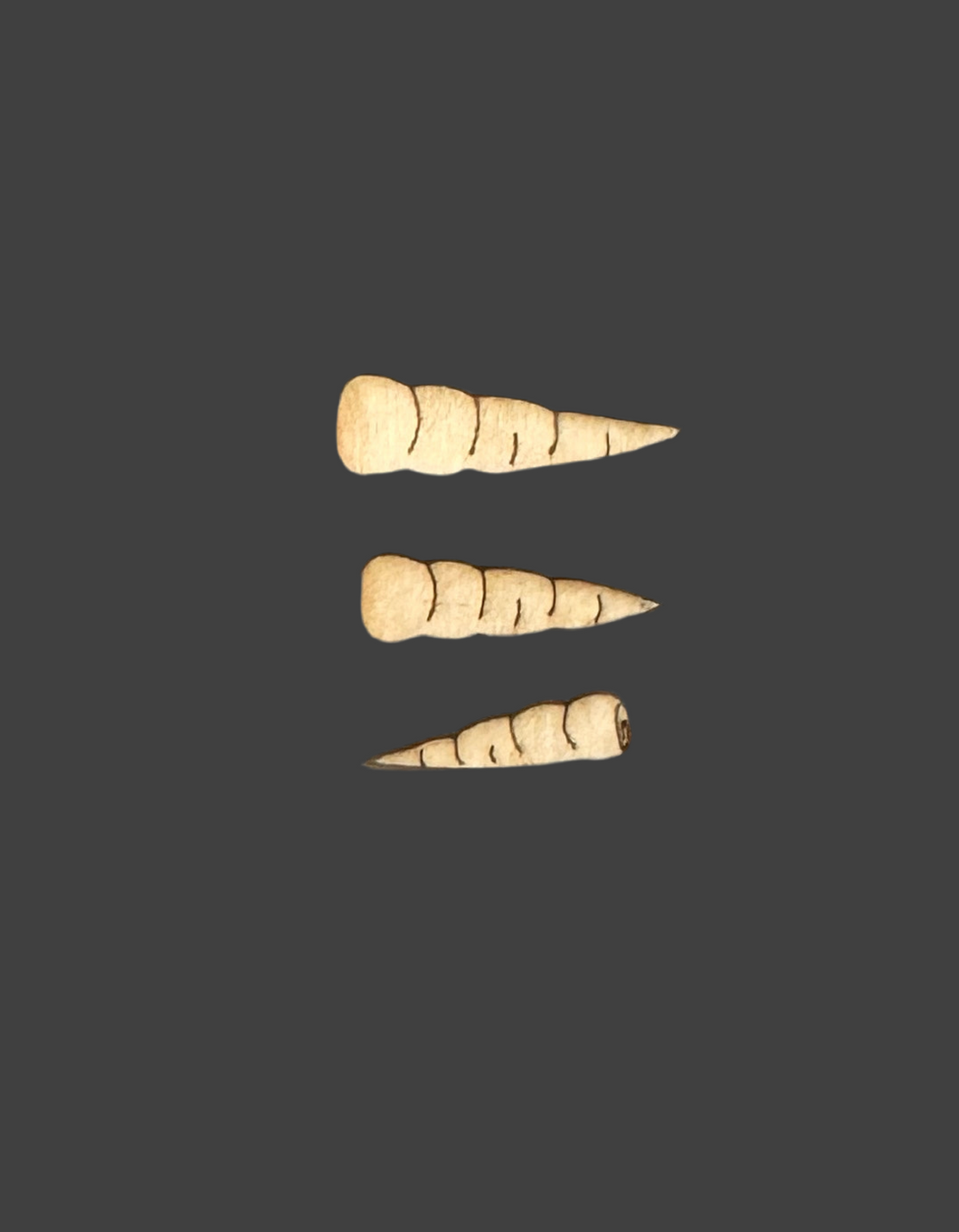 New Assorted Carrot Noses for Snowmen  Unfinished wood Set of 3 SMALL SIZE