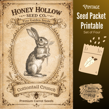 Load image into Gallery viewer, Carrot Seed Packets VINTAGE 2x4 Canvas Printable
