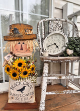 Load image into Gallery viewer, K312 Sunflower Seed Scarecrow Pattern
