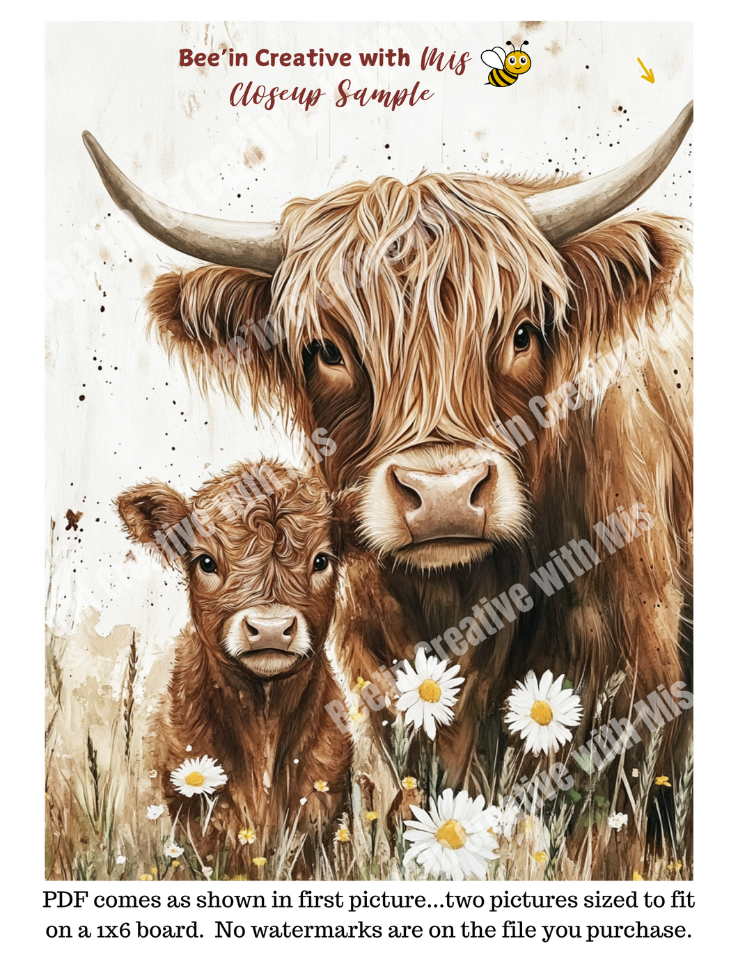 Highland Cows with daisies Canvas Project 1x6