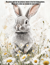 Load image into Gallery viewer, Grey Bunny with daisies Canvas Project 1x6
